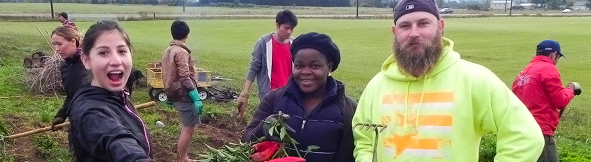 Students working on a service-learning farming project