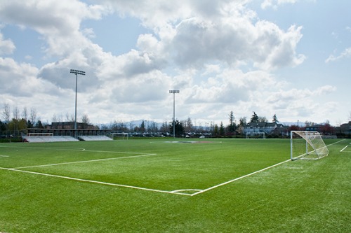 Orca Field