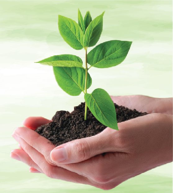 Image of handings holding seedling