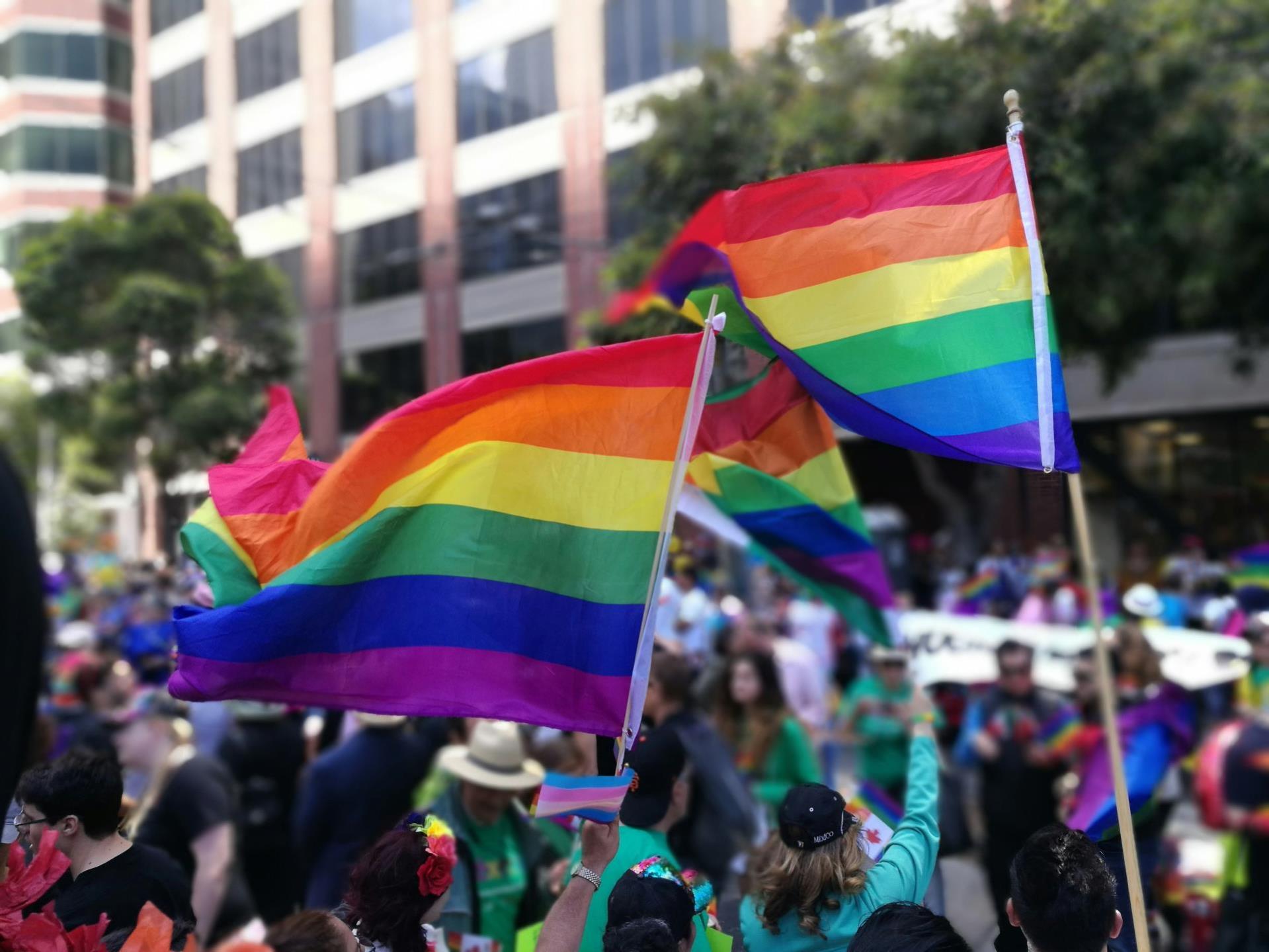 Rainbow flags being held up at a pride festival