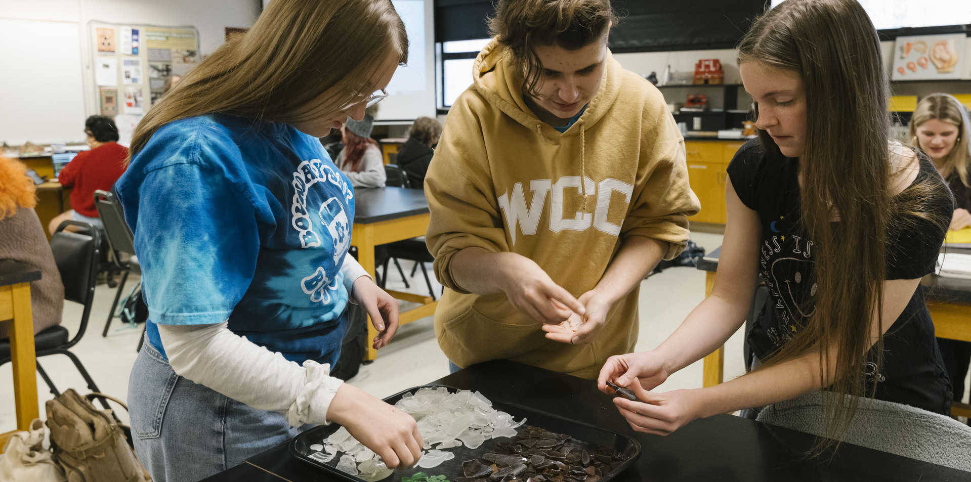 anthropology students looking at samples