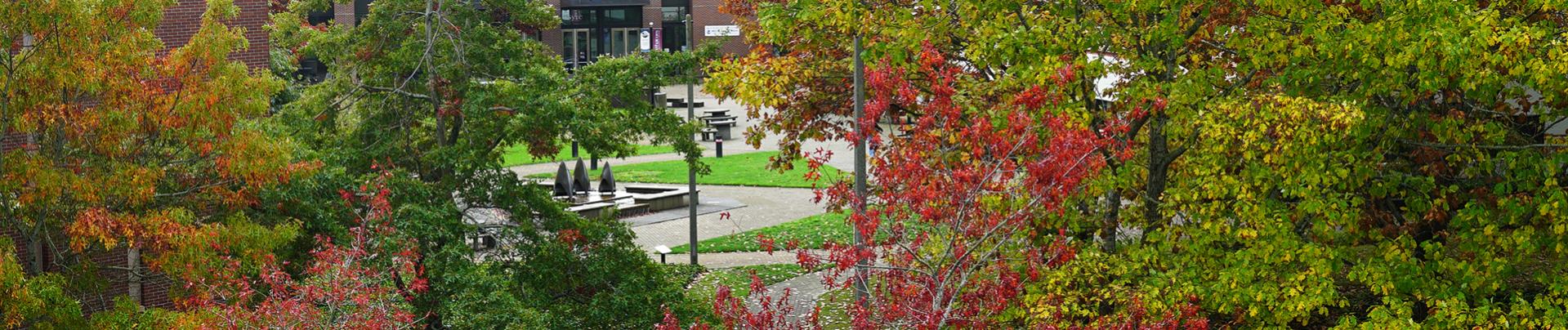 WCC Fall Courtyard with bright colored leaves