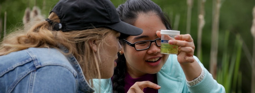 Looking at biology pond sample