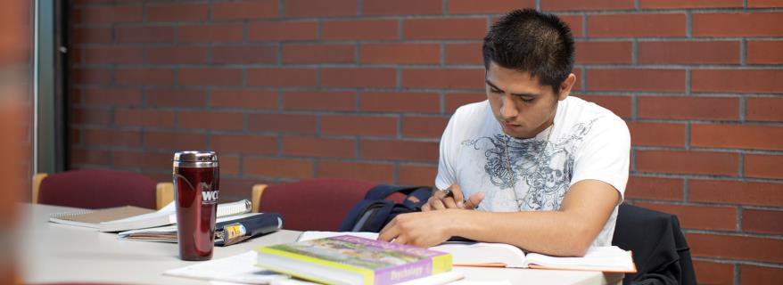 Male student studying