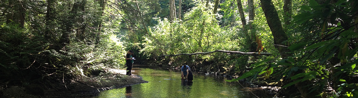 Students working in river